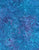 Tonga Portulaca Reef B1554