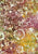 Tonga Primrose Bouquet - B8539