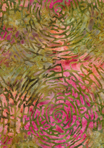 Tonga Primrose Sherbet - B8408