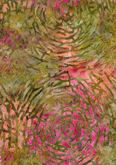 Tonga Primrose Sherbet - B8408