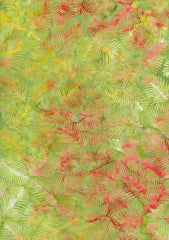 Tonga Primrose Sprout - B8540