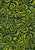 Tonga Primrose Spruce - B8400