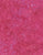 Tonga Spring Swirl Kiss B2051