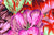 Tulip Mania - Red