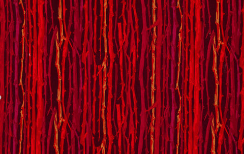 Twig - Red