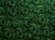 Utopia Bush Plum Green