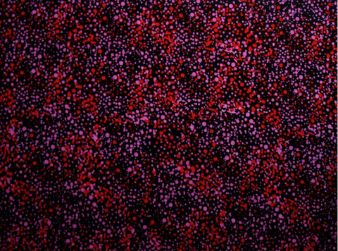 Utopia Bush Plum Red