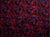 Utopia Bush Plum Red