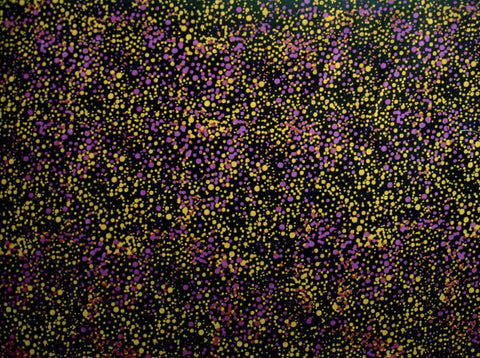 Utopia Bush Plum Yellow