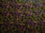 Utopia Bush Plum Yellow