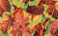 Variegated Ivy - Brown