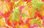 Variegated Ivy - Gold