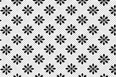 White CS00018CW02
