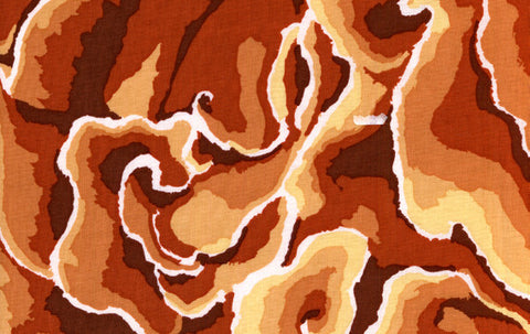 Wood Ear - Brown
