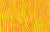 Wrinkle - Gold