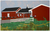 Tracy's Duck Farm